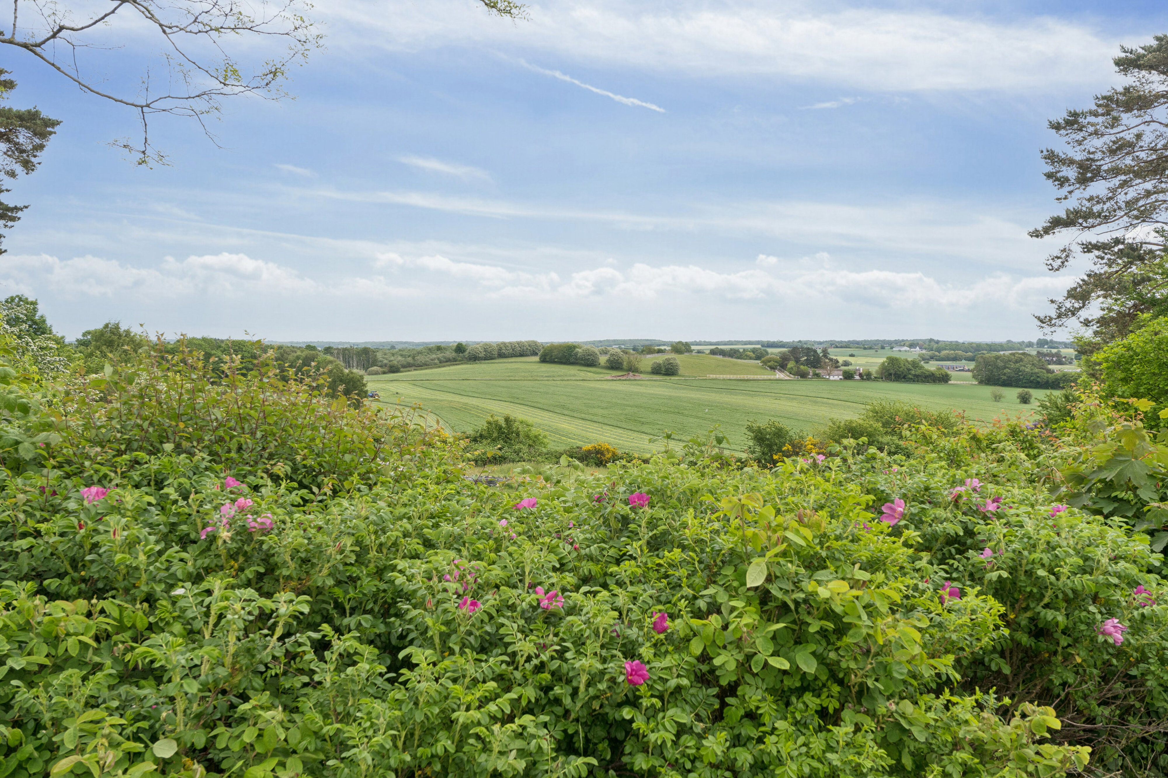 Baunevej 13, 3210 Vejby