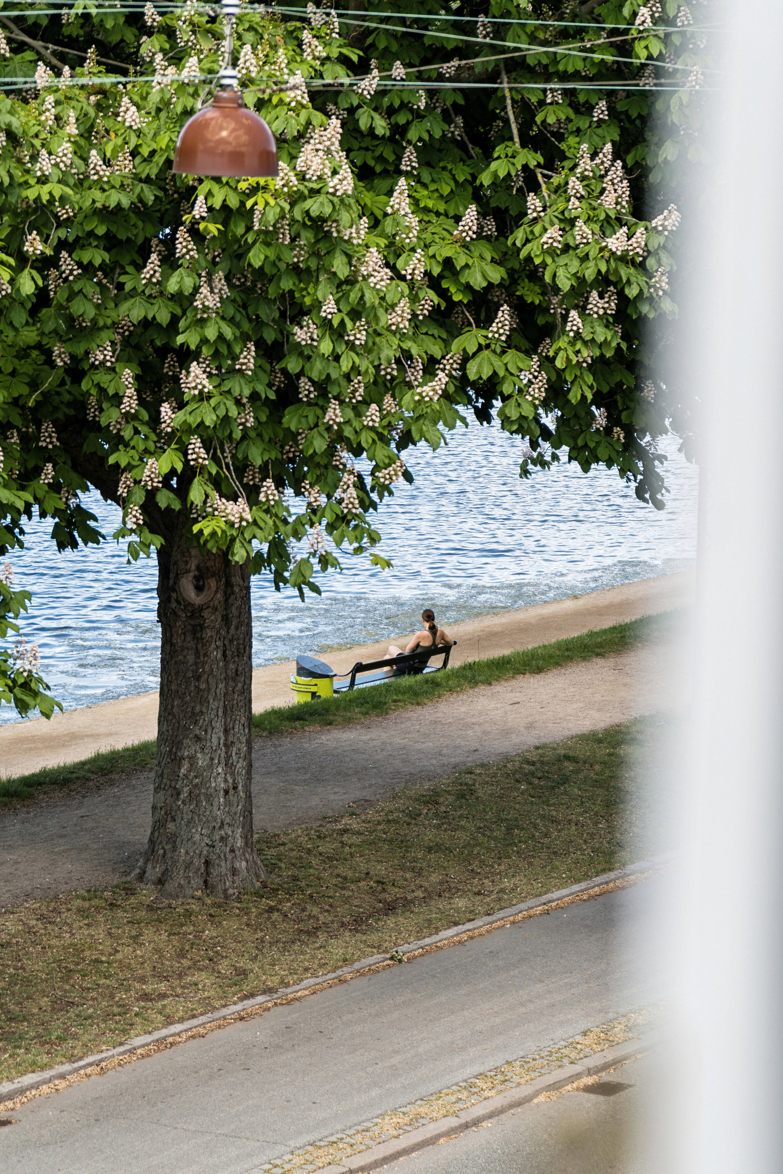 Øster Søgade 48, 2100 København Ø