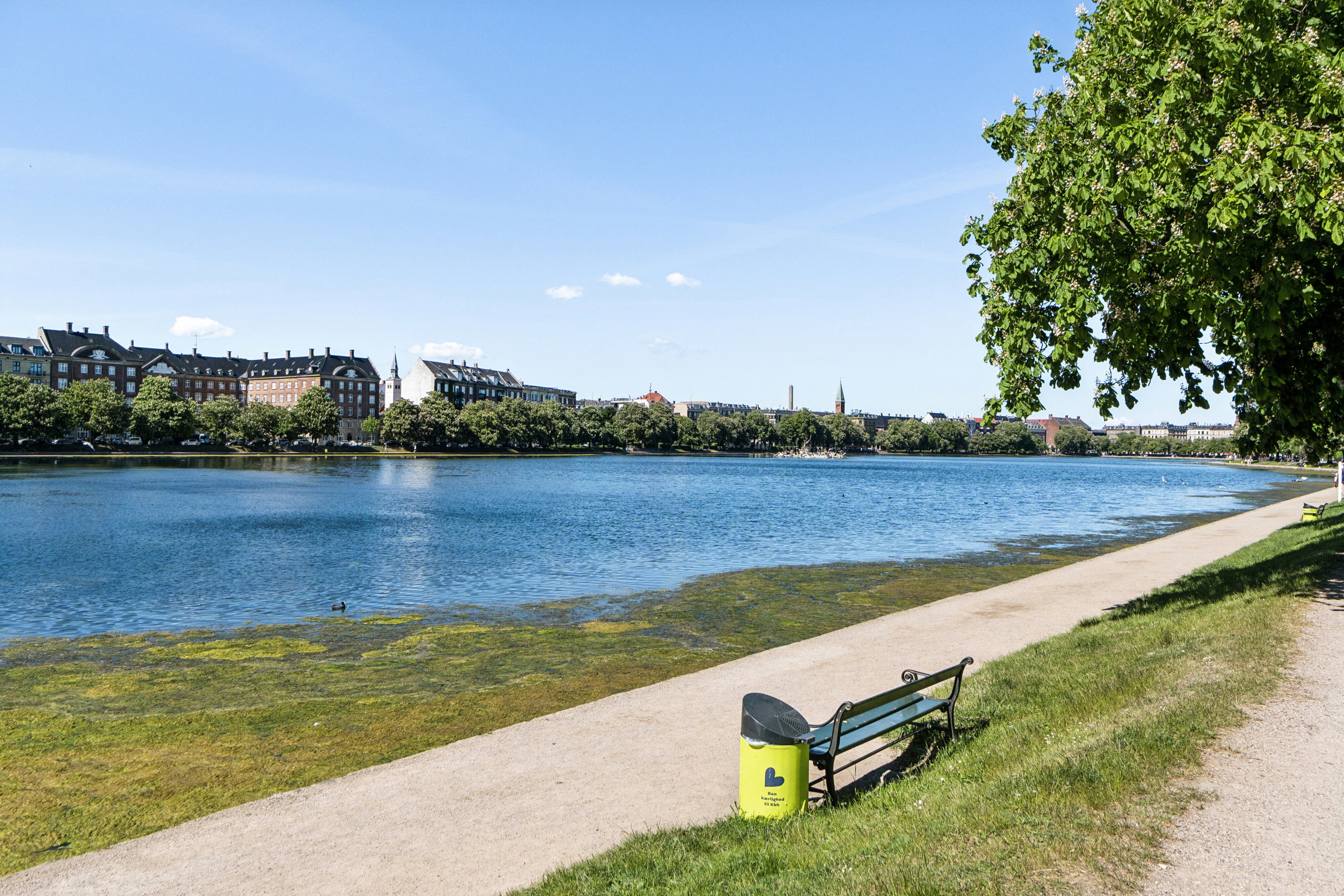 Øster Søgade 48, 2100 København Ø