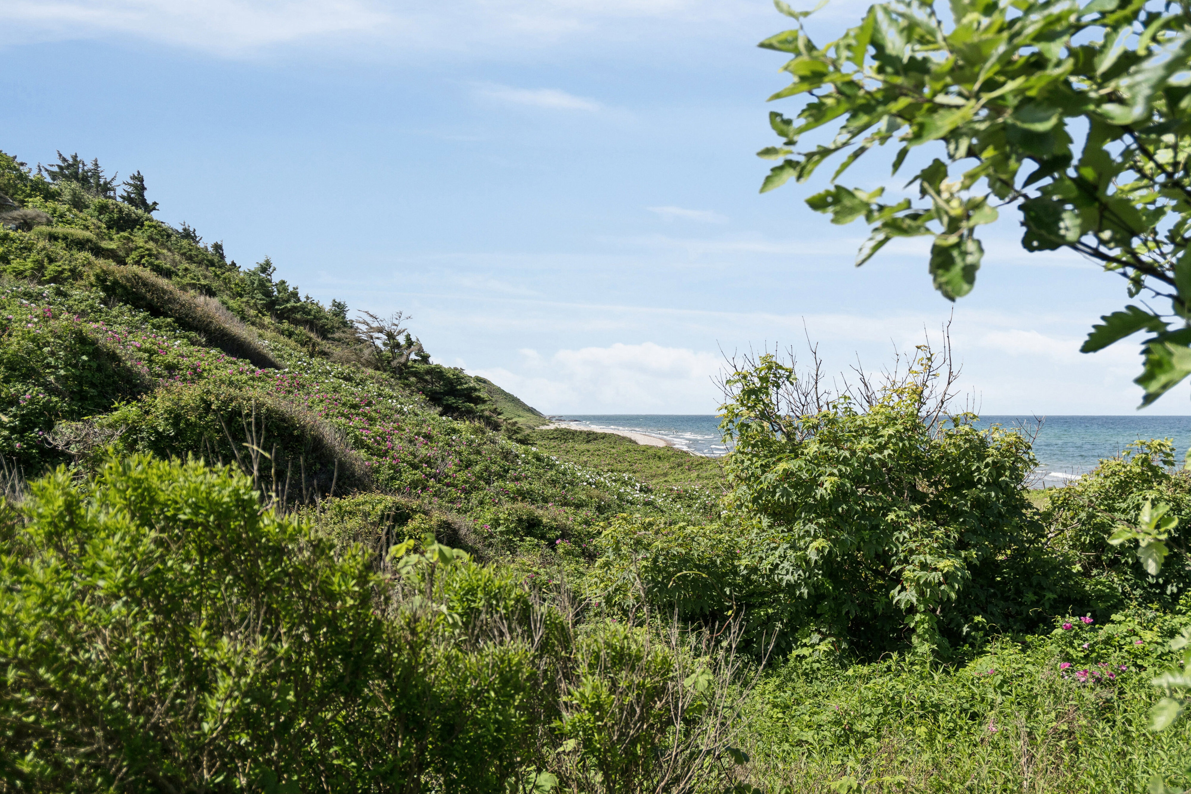 Rågelejevej 127D, 3210 Vejby