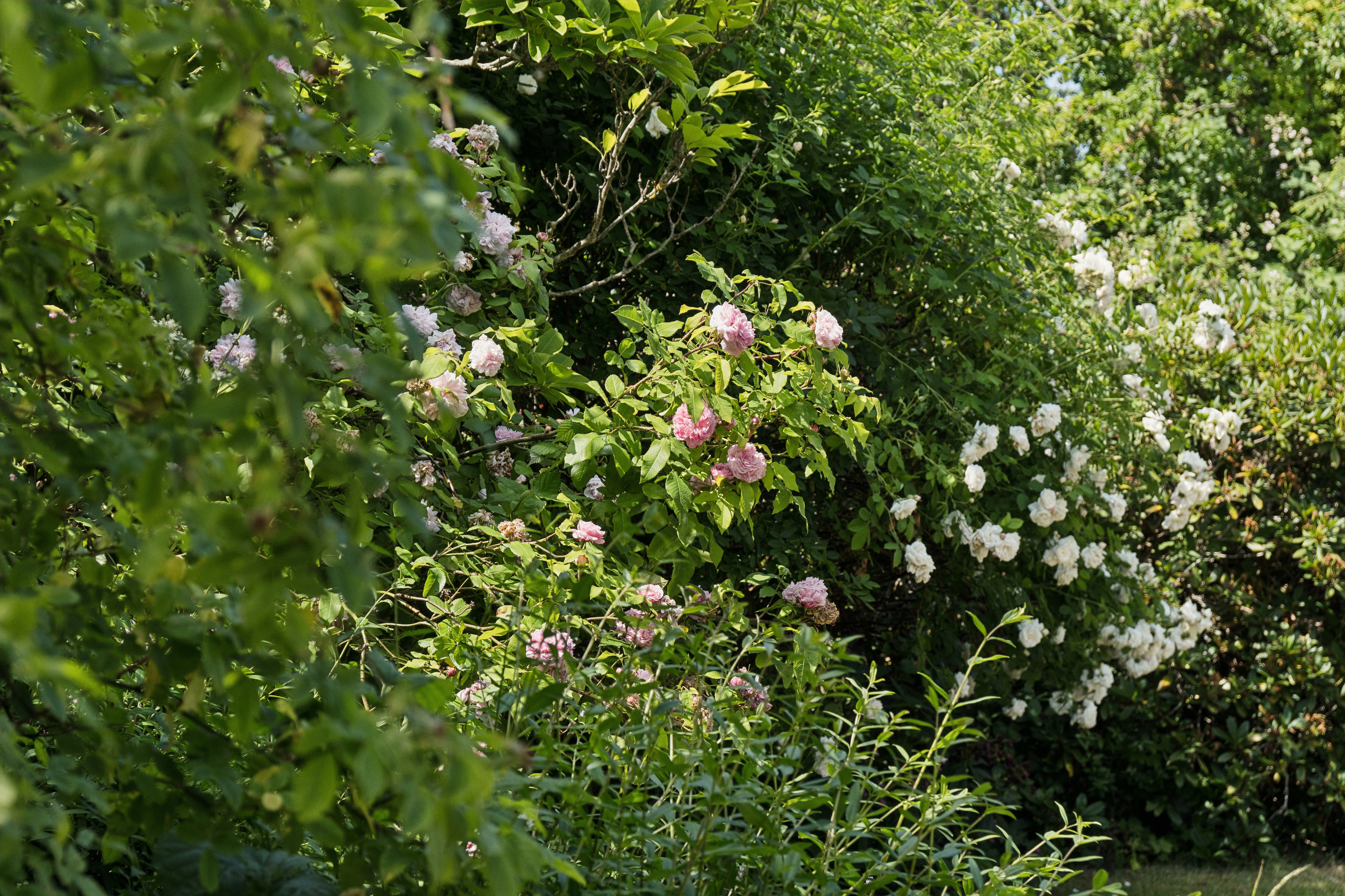 Blåbærvej 21, 4300 Holbæk