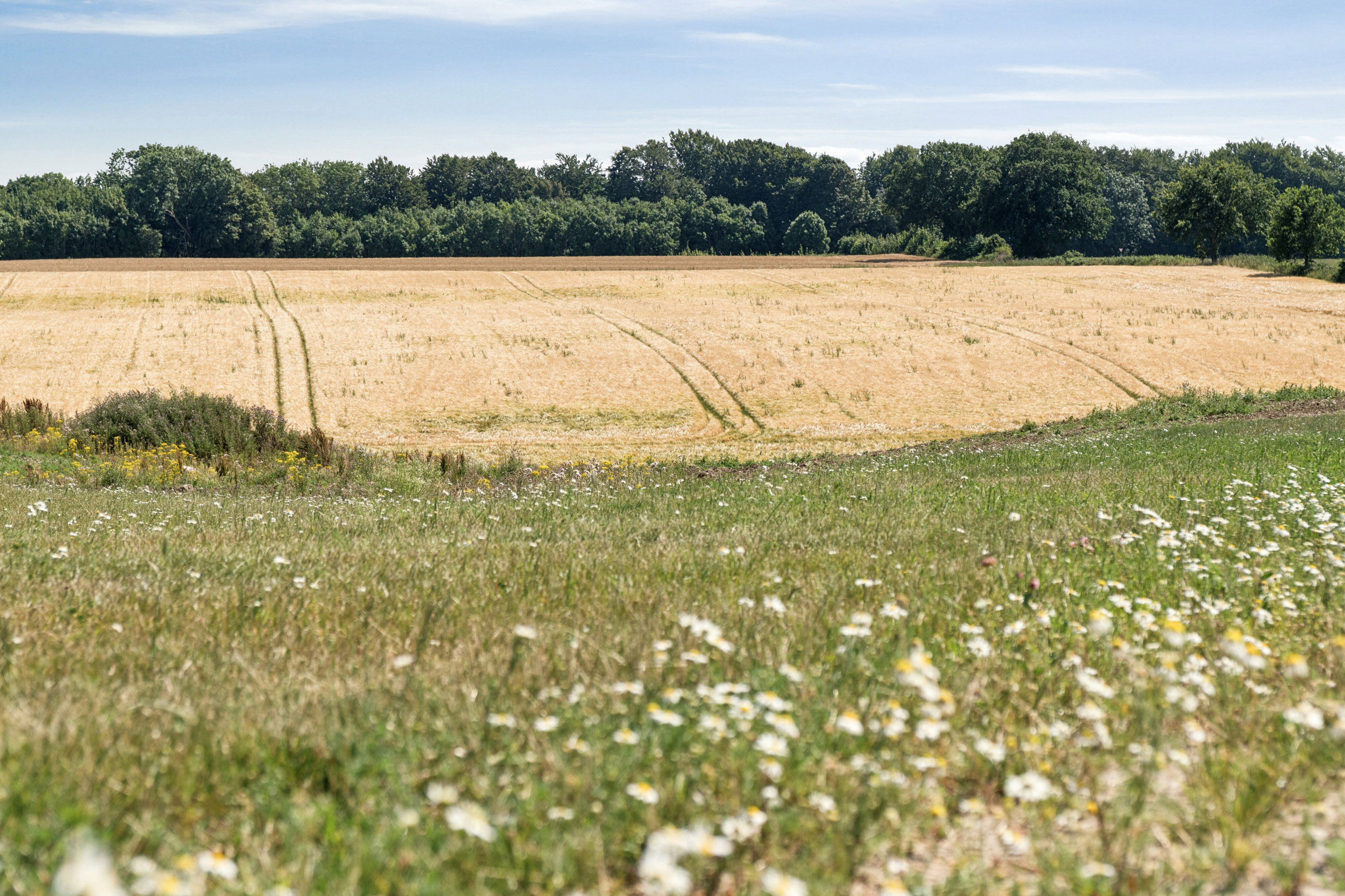Emiliedalen 22, 7120 Vejle Øst