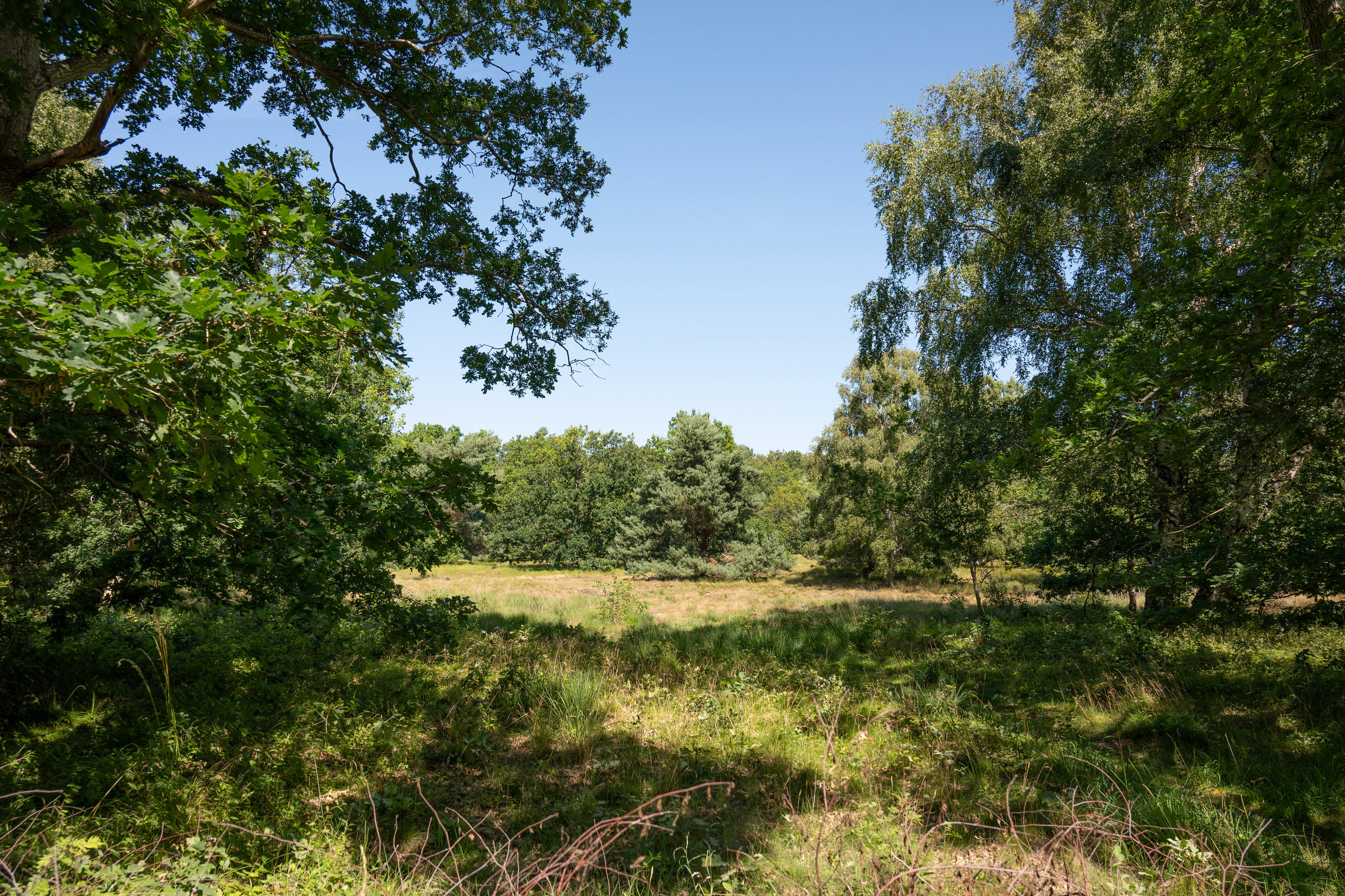 Solvang 16, 3210 Vejby