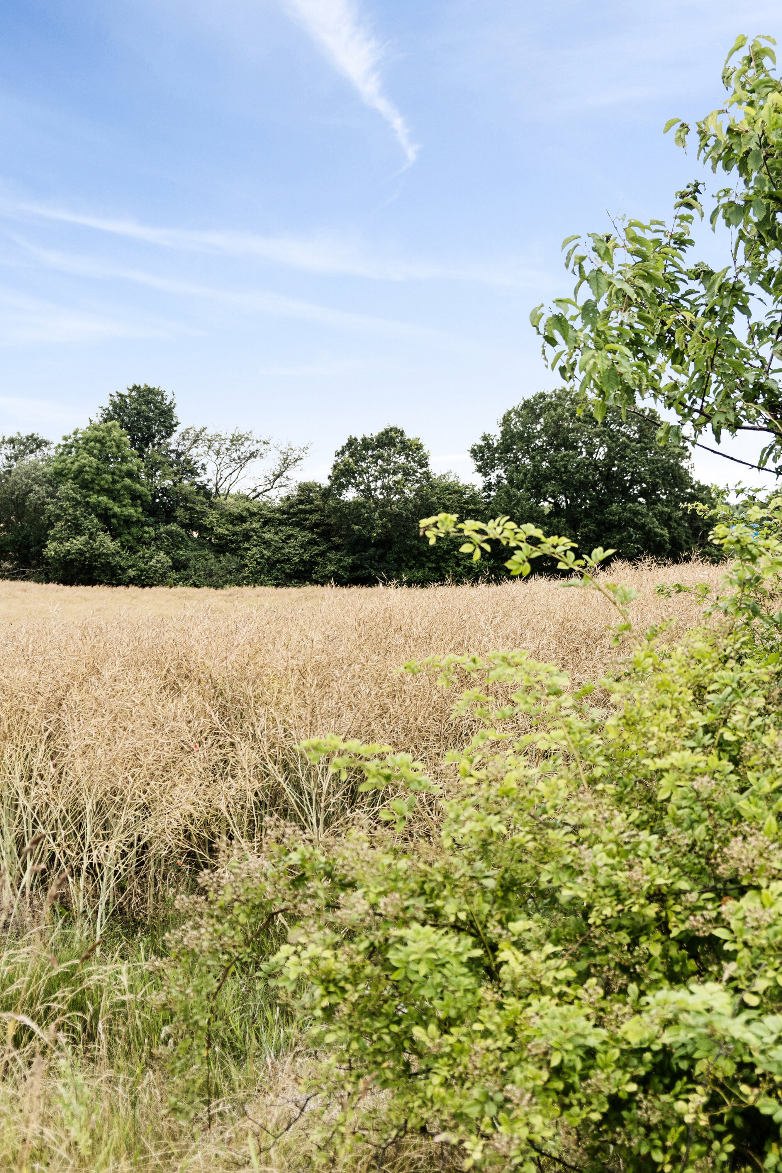 Stampeengen 4, 2970 Hørsholm