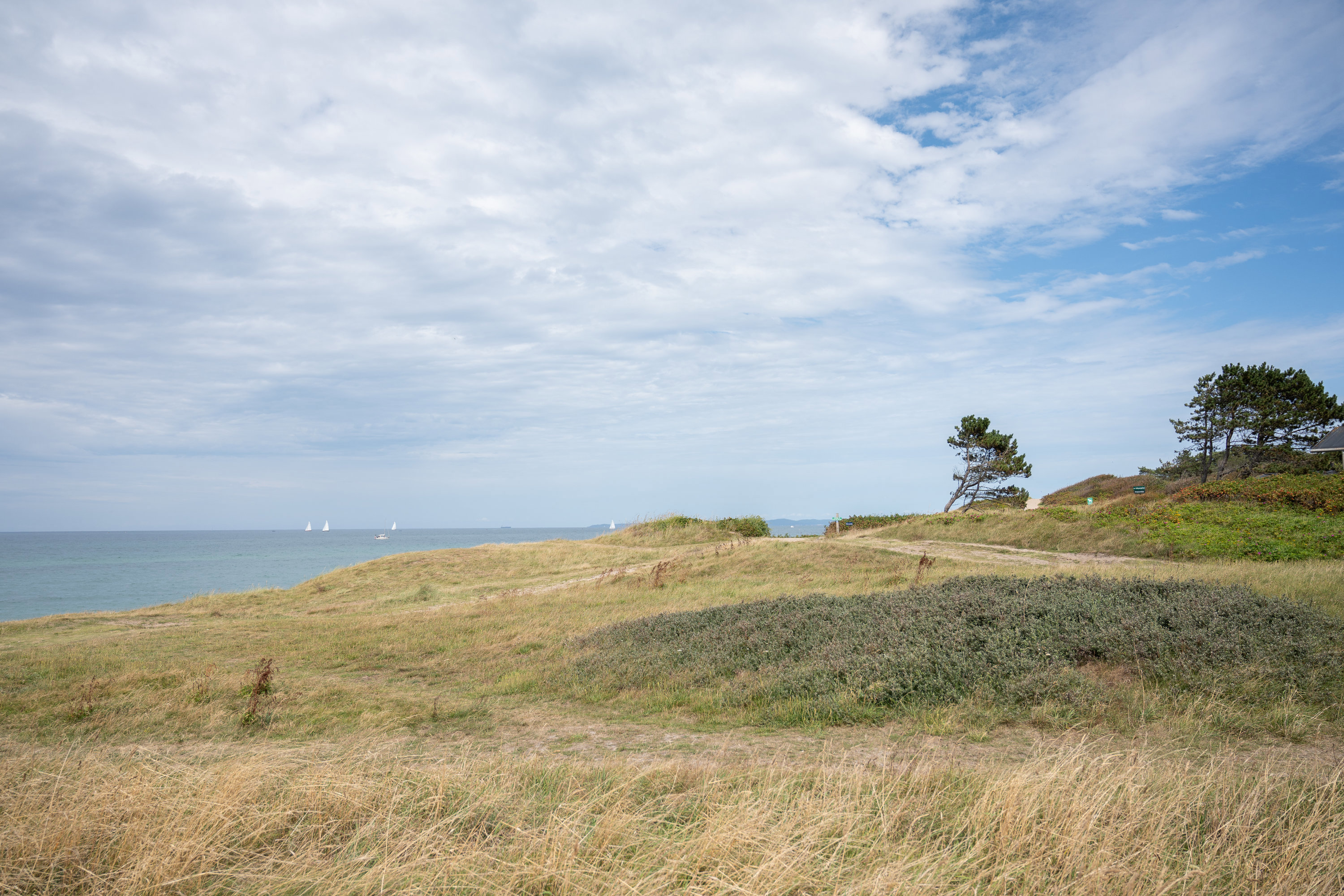 Dalen 29, 3250 Gilleleje