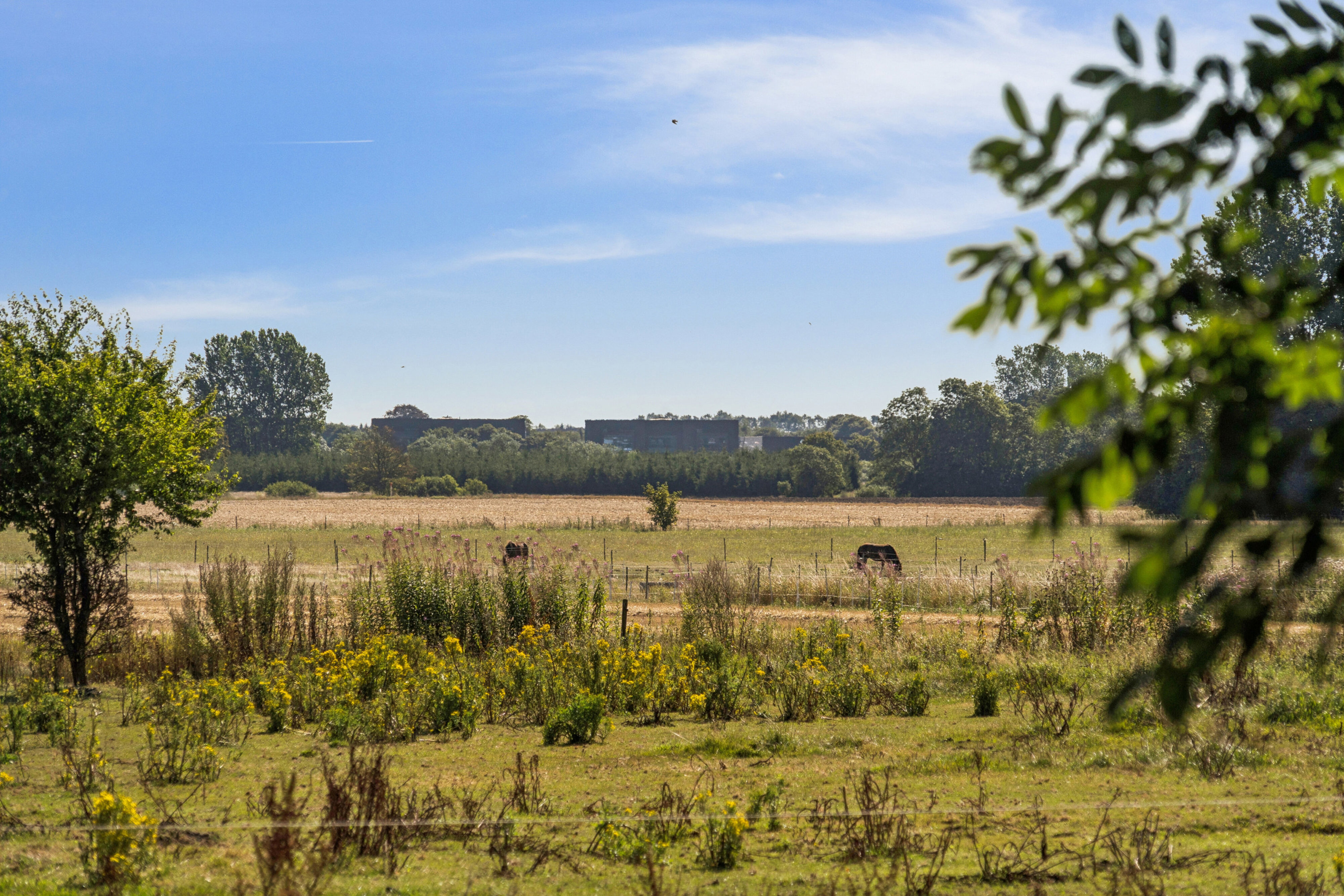 Hedevej 21, 8723 Løsning