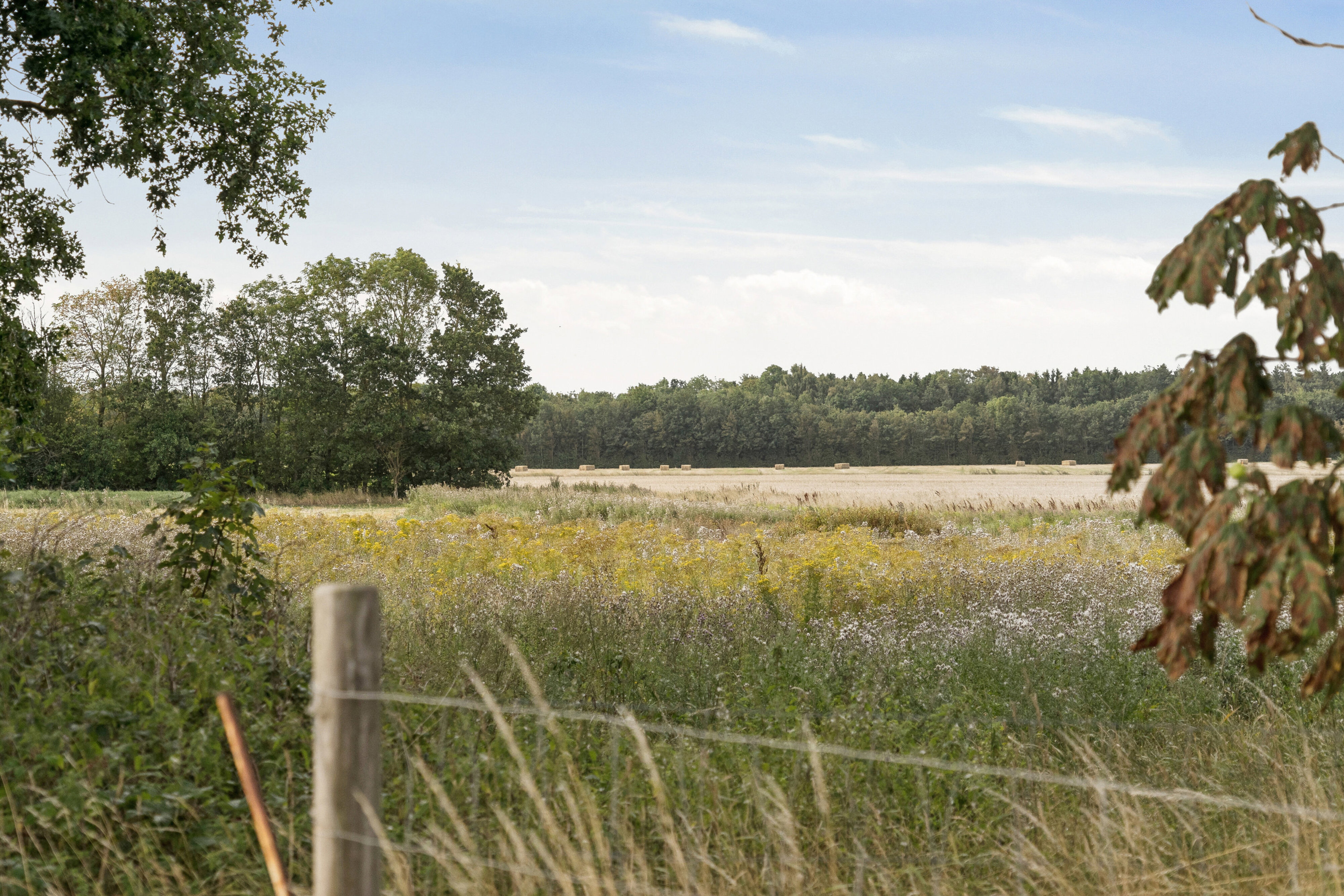 Hedevej 21, 8723 Løsning