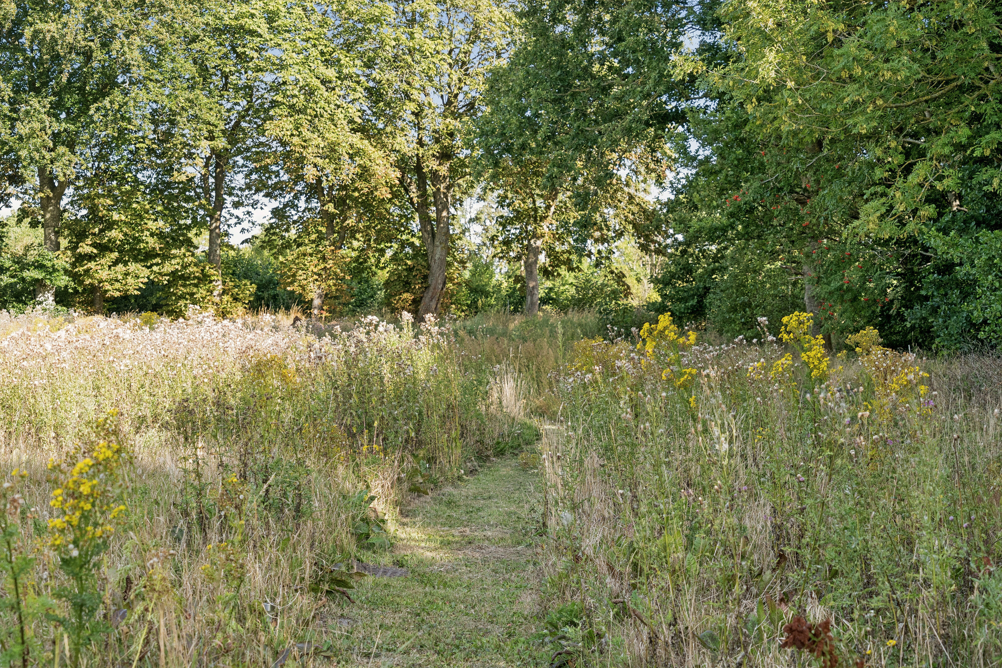 Hedevej 21, 8723 Løsning