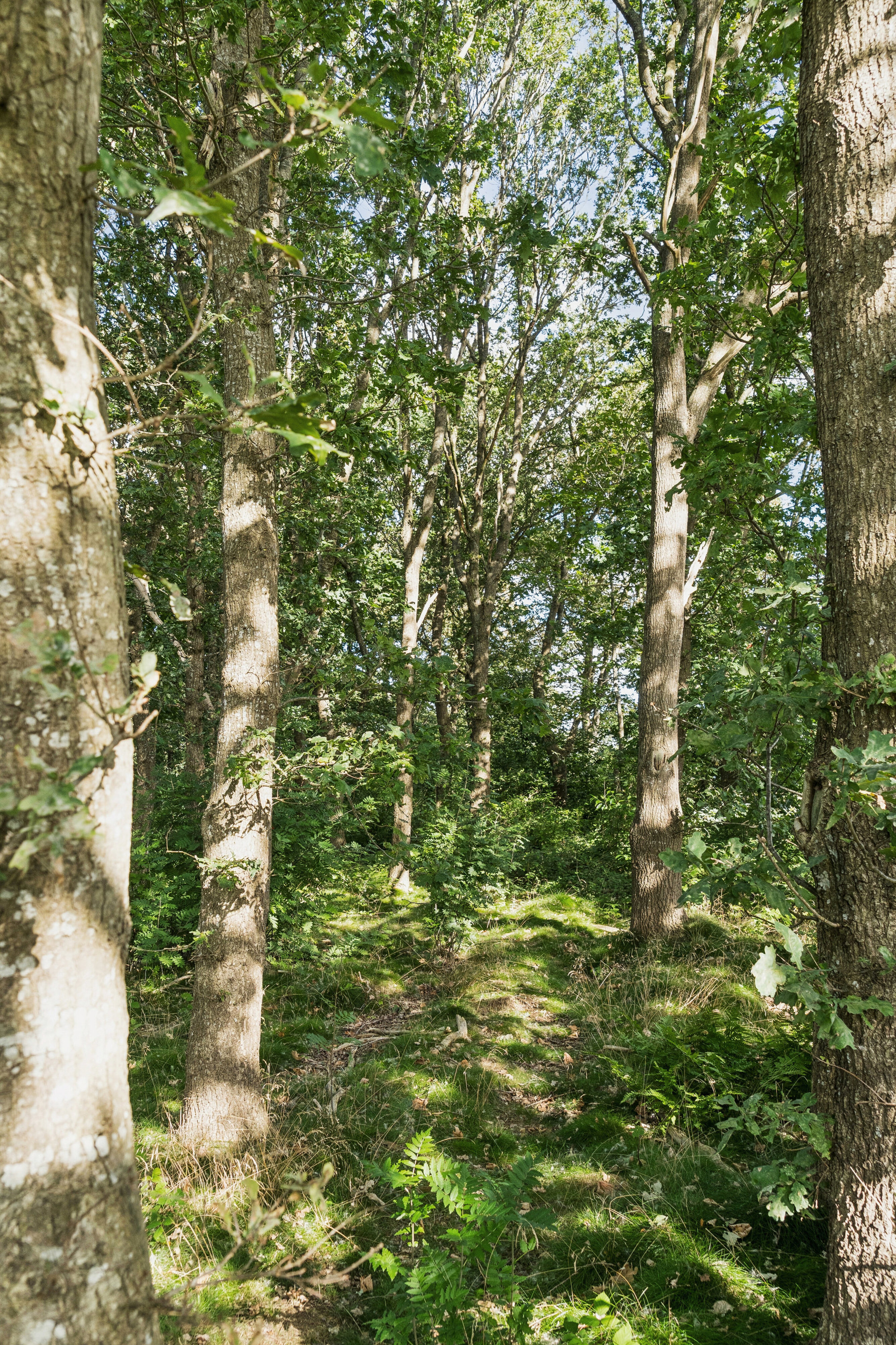 Hedevej 21, 8723 Løsning