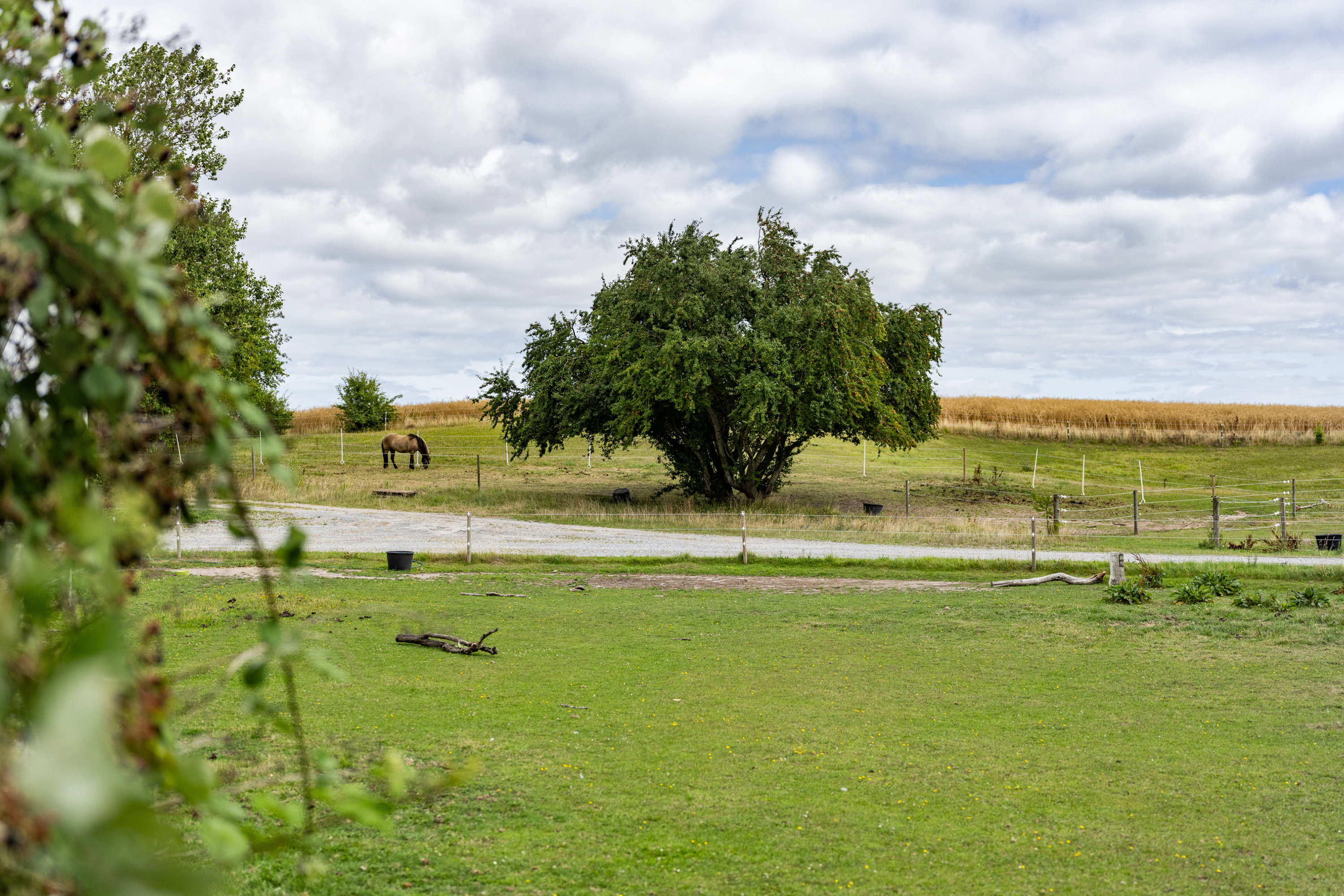 Skæring Egager 51, 8250 Egå