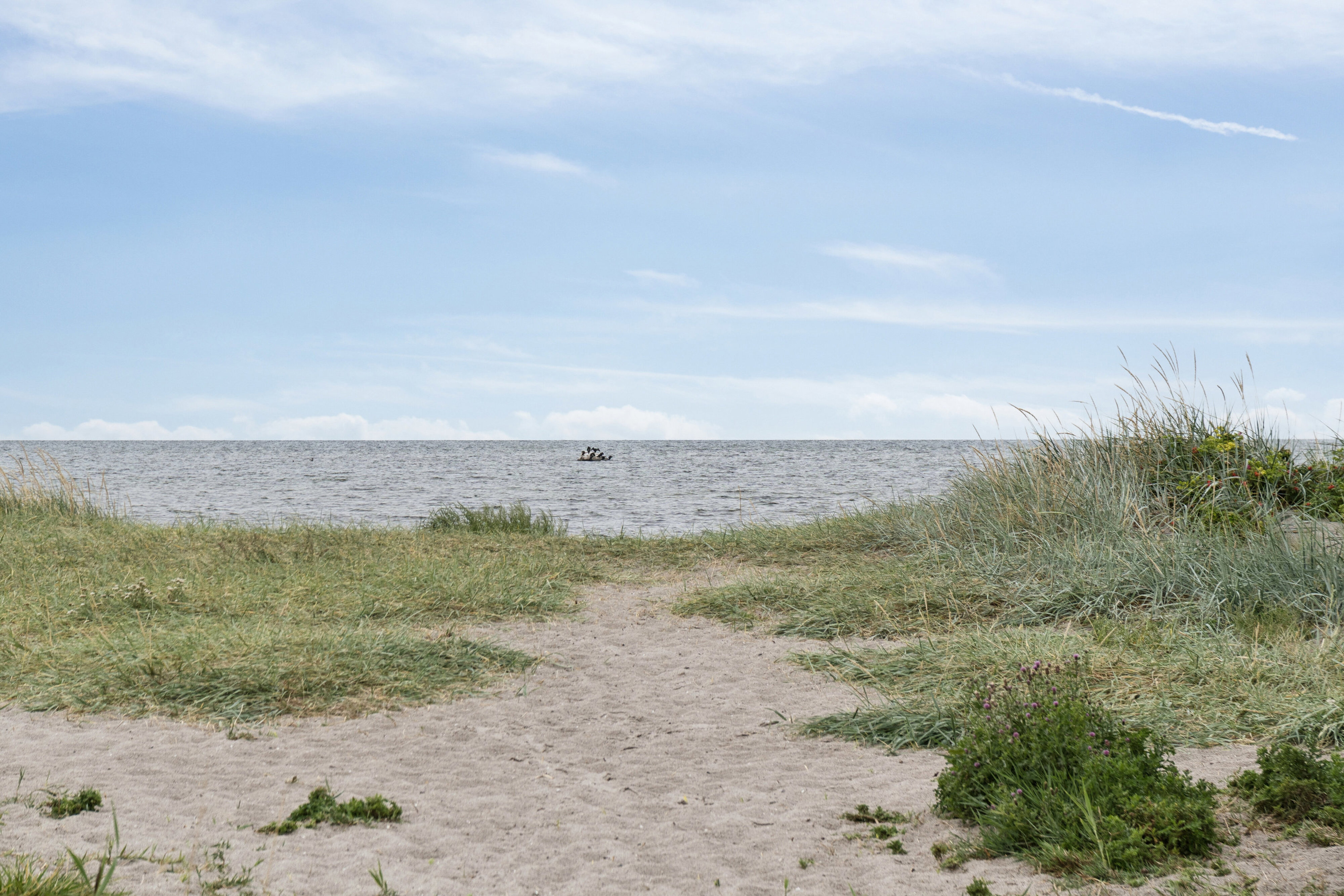 Vierdiget 140, 2791 Dragør