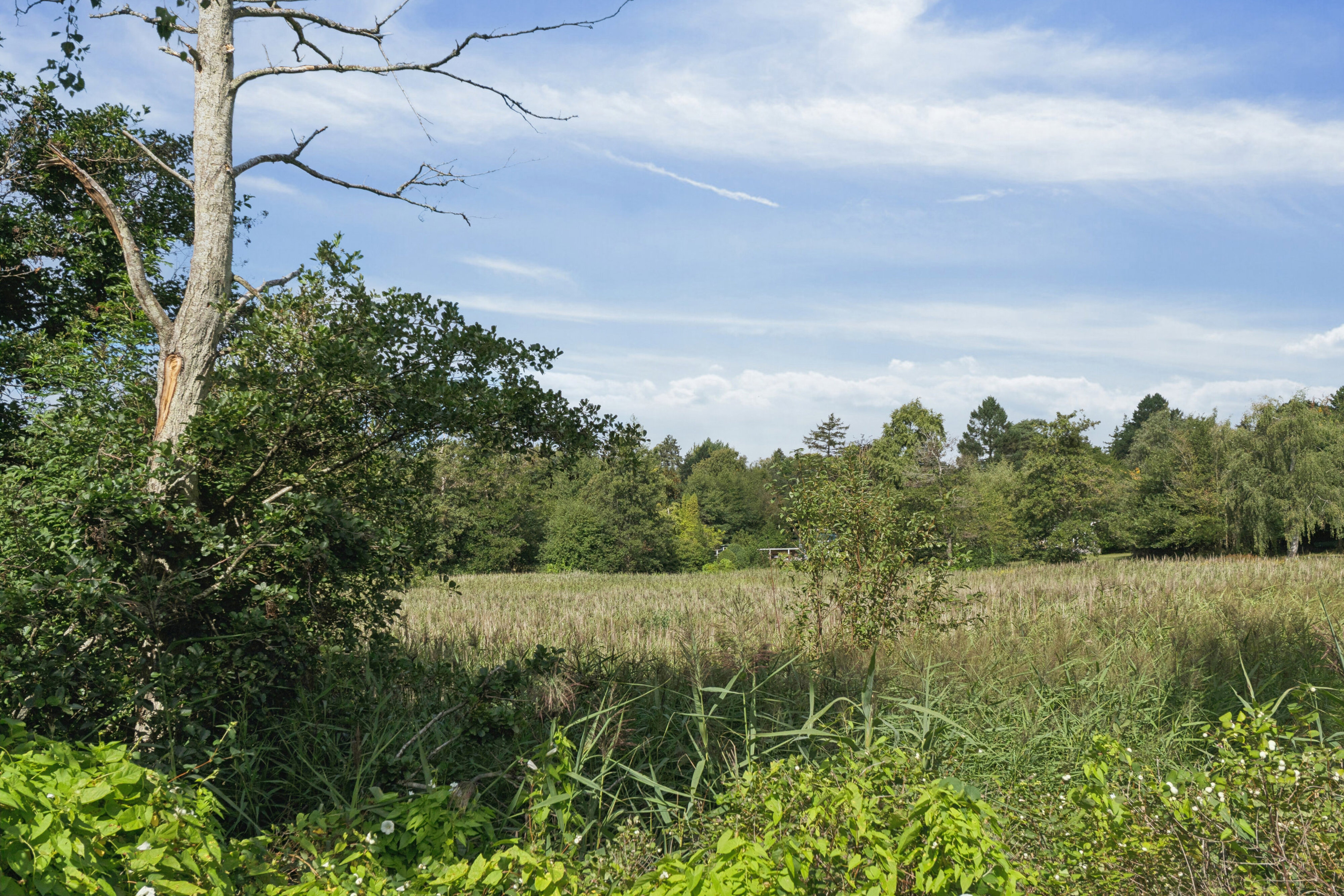 Bjørnemosevej 16, 3210 Vejby