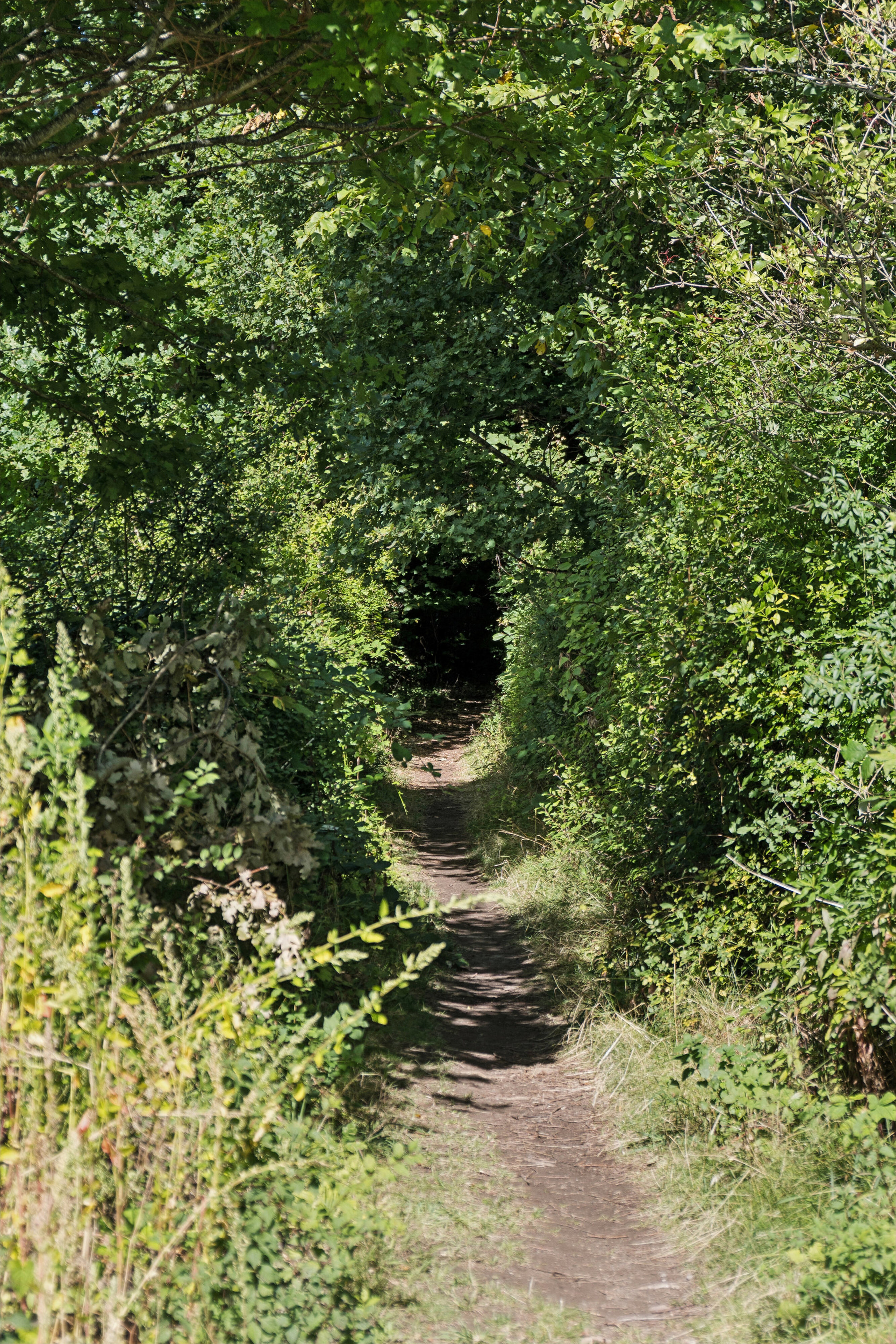 Taurusvej 10, 3210 Vejby