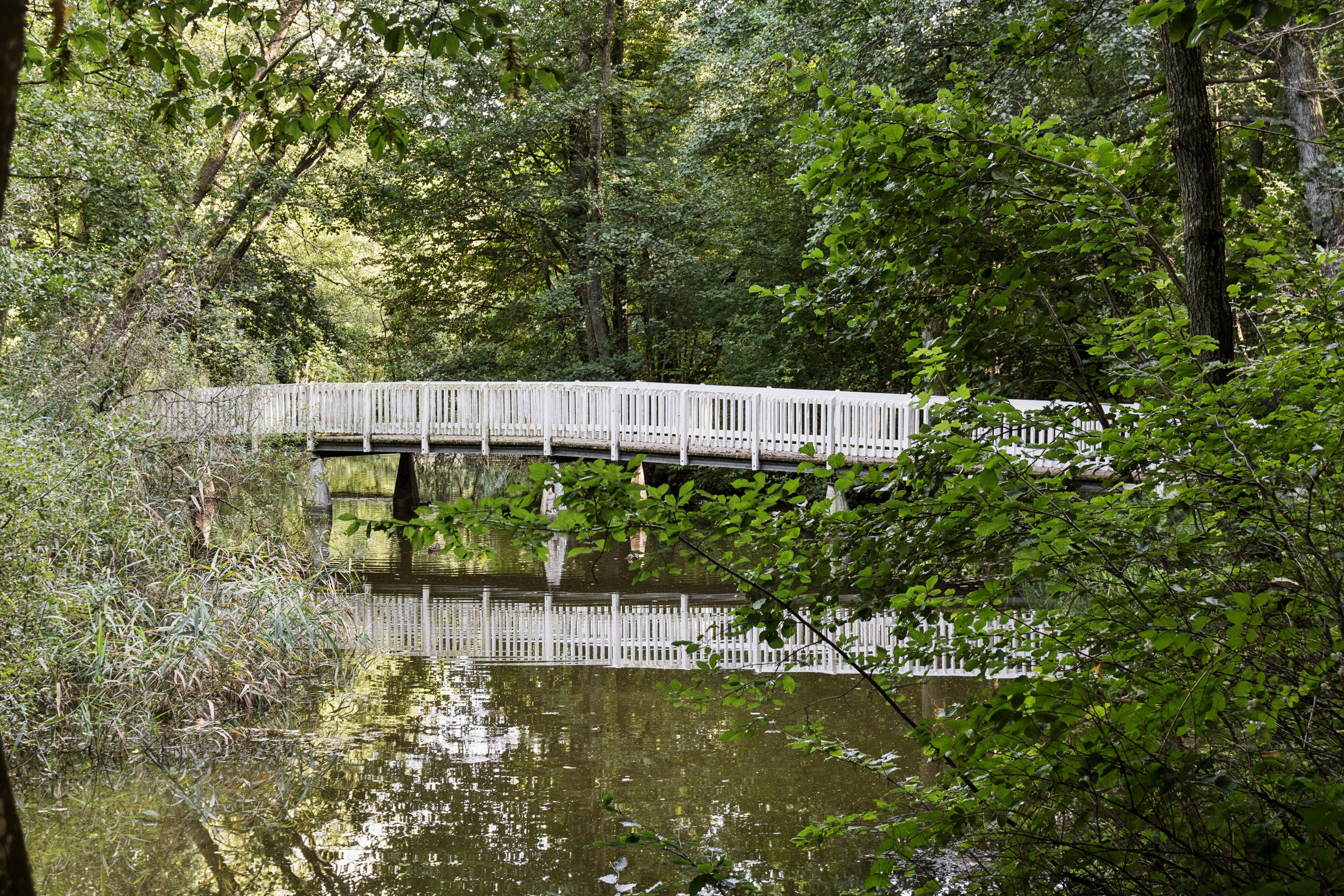 Fuglevadsvej 5A, 2800 Kongens Lyngby