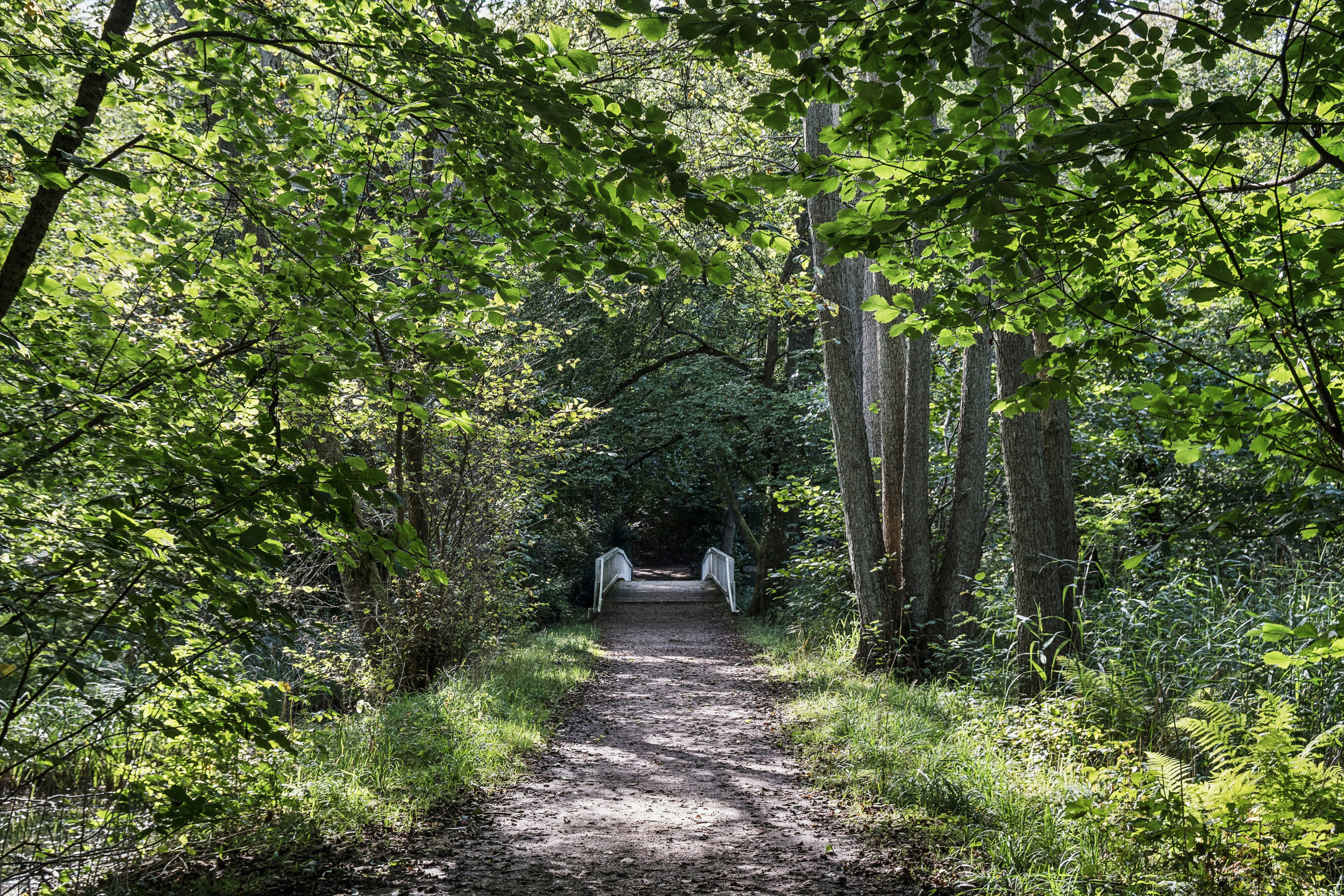 Fuglevadsvej 5A, 2800 Kongens Lyngby