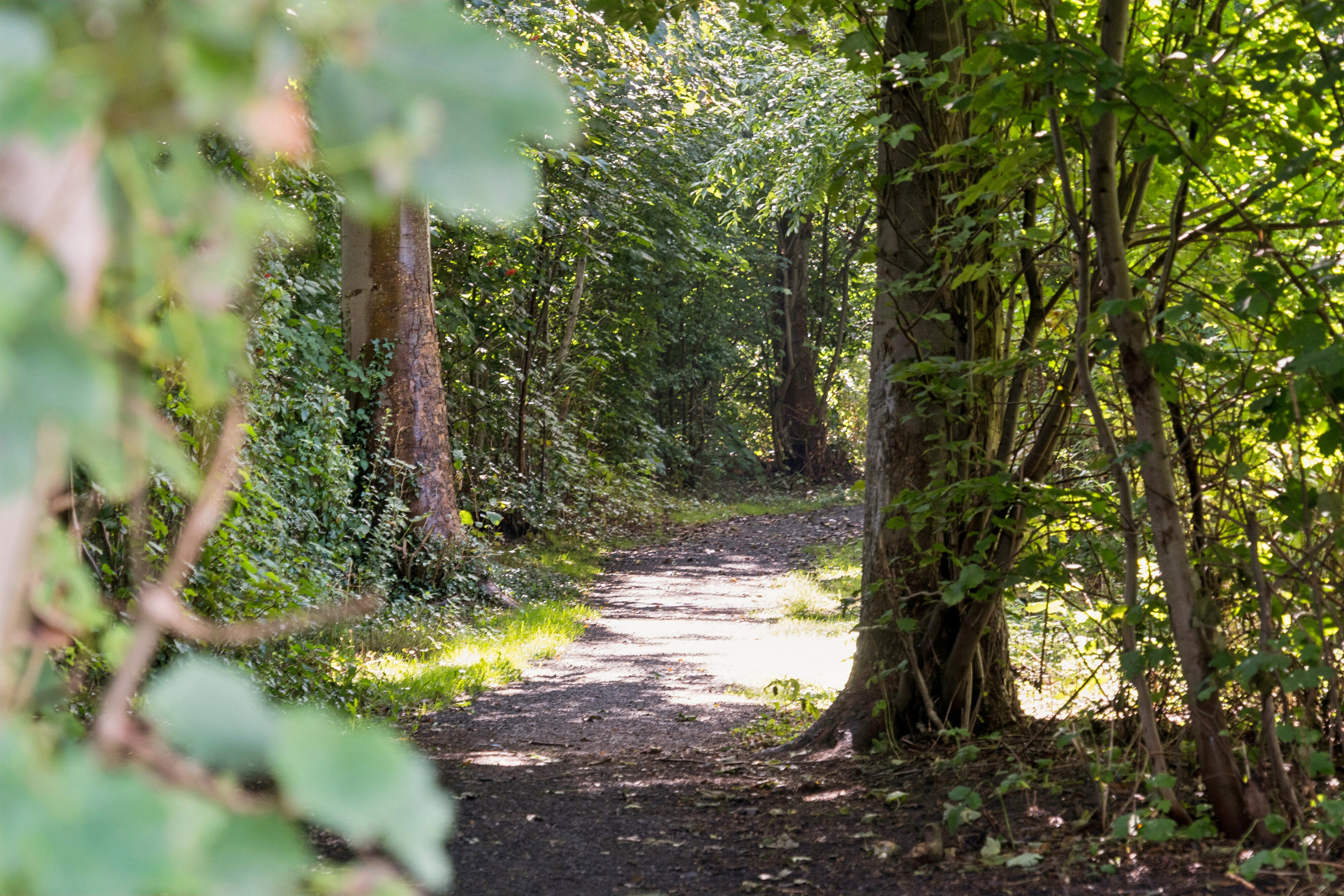 Birke Allé 11, 7100 Vejle