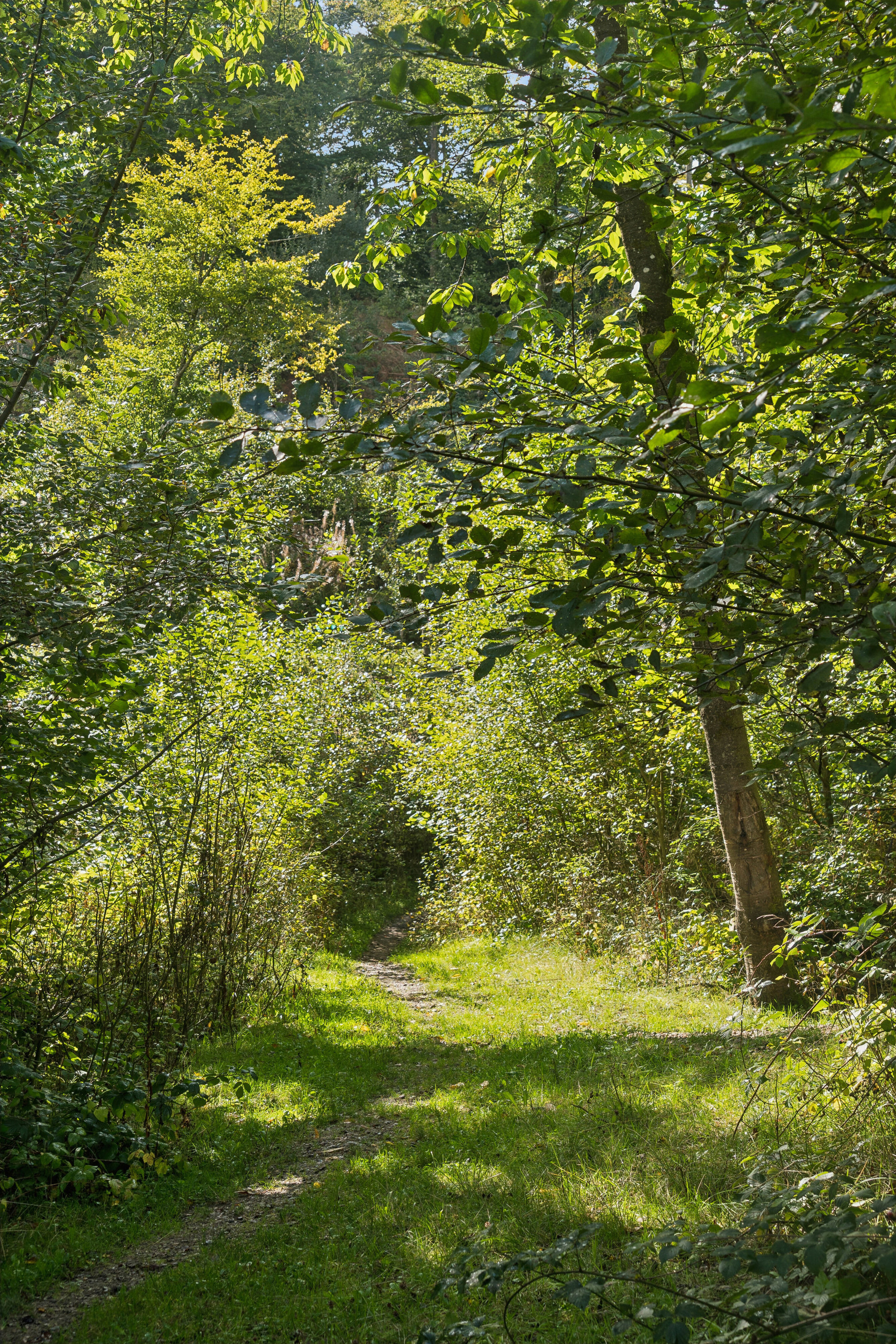Julianelund 66, 7120 Vejle Øst