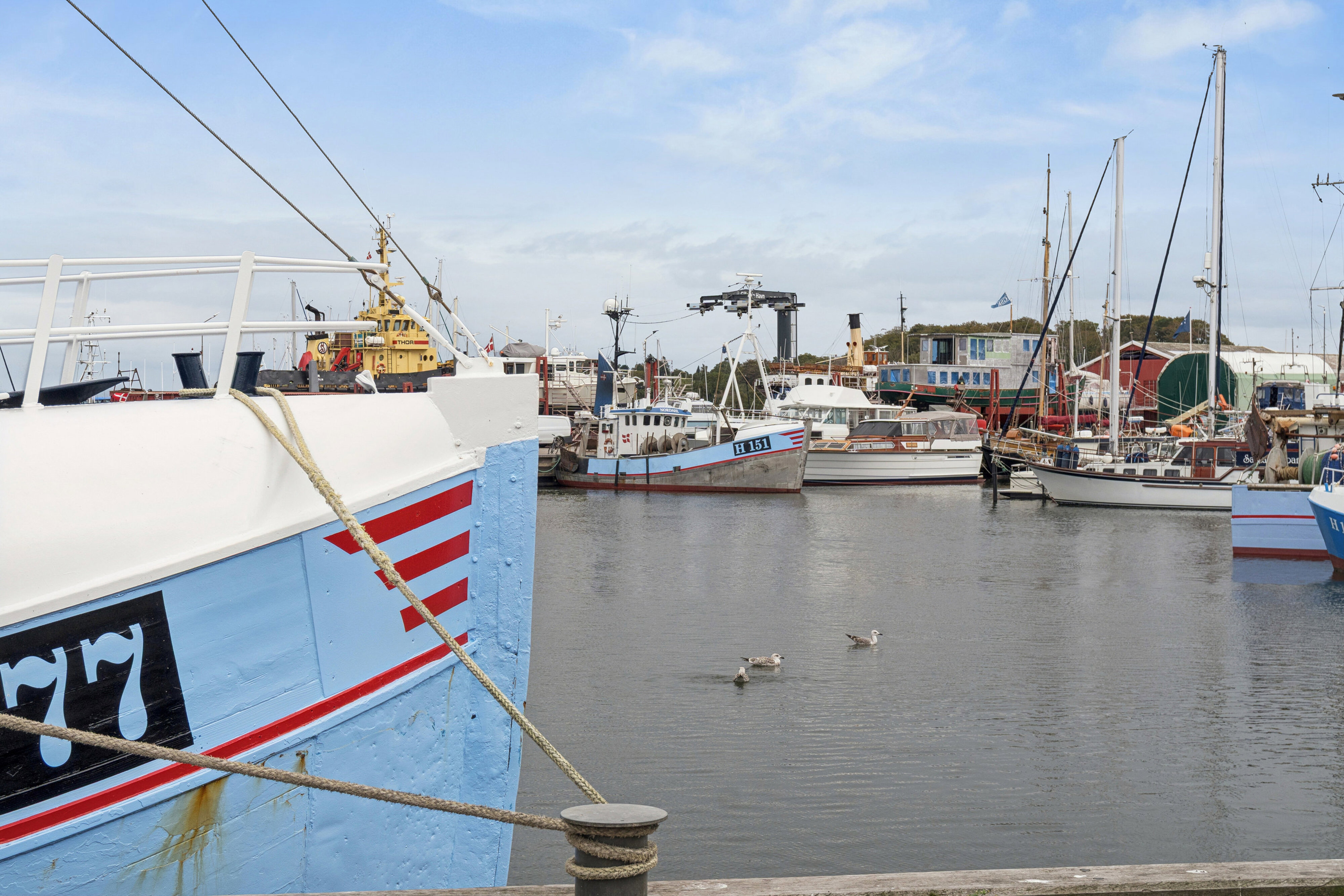 Dalen 29, 3250 Gilleleje