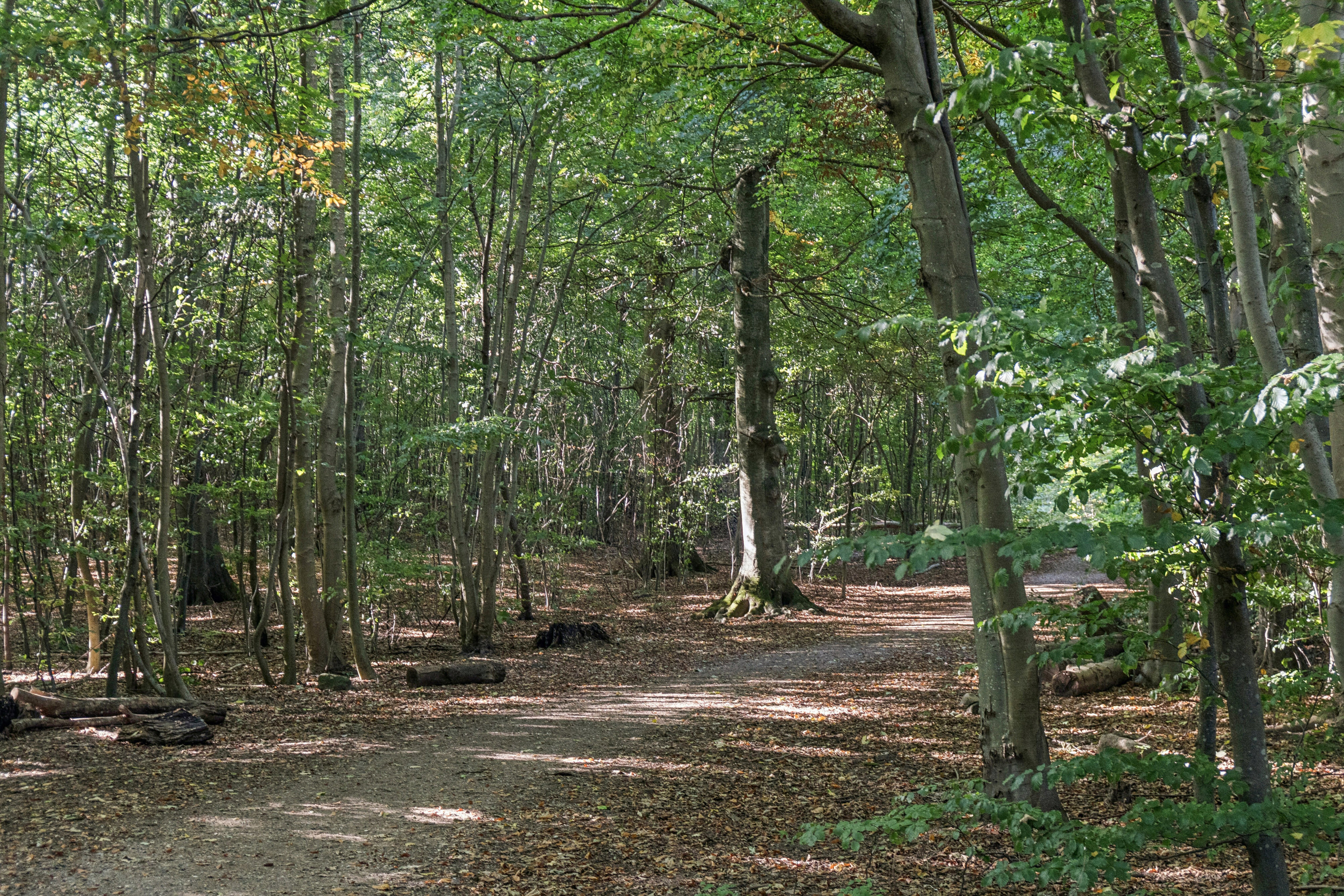 Valdemarsvej 28, 2960 Rungsted Kyst