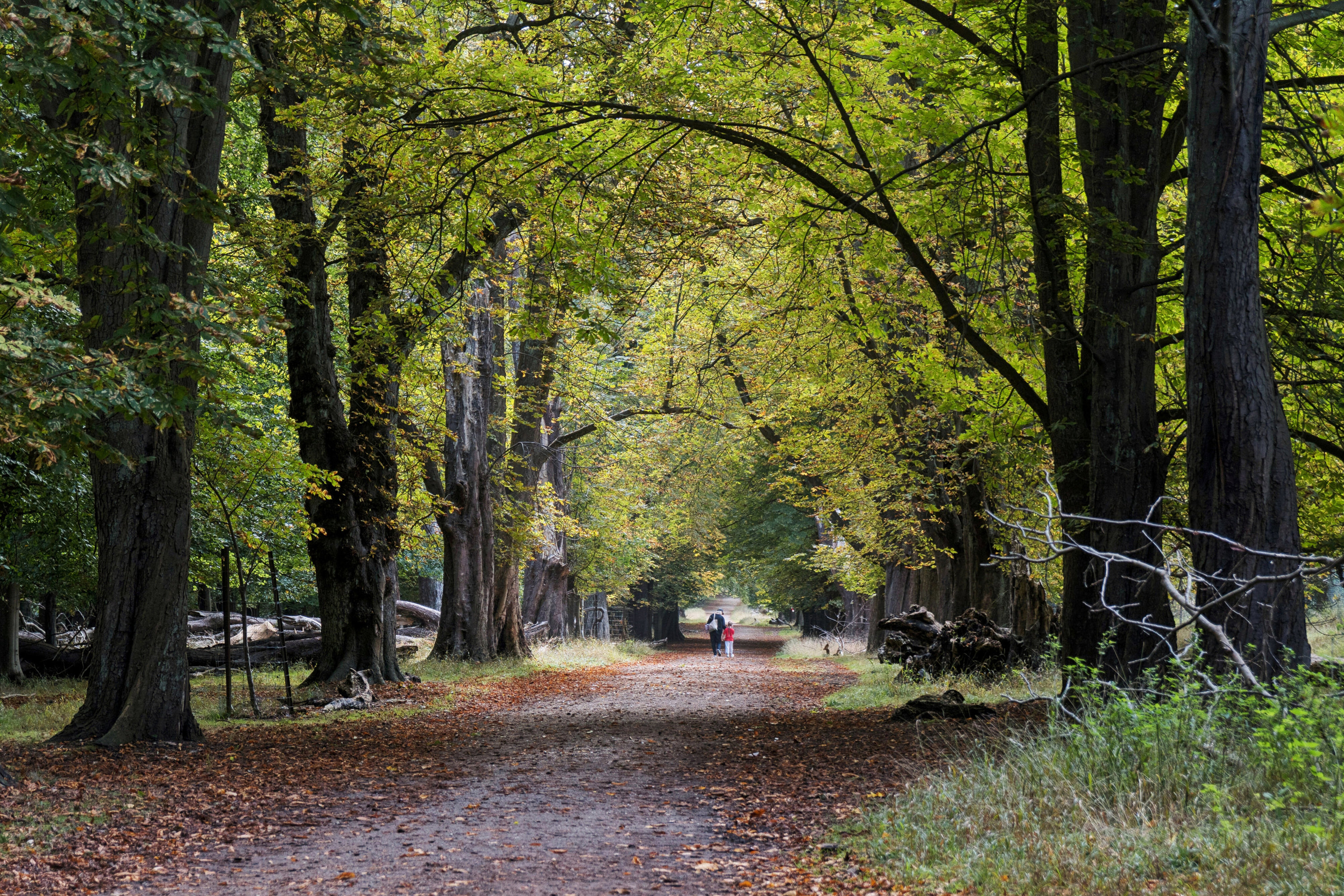 Dyrehavegårdsvej 46B, 2800 Kongens Lyngby