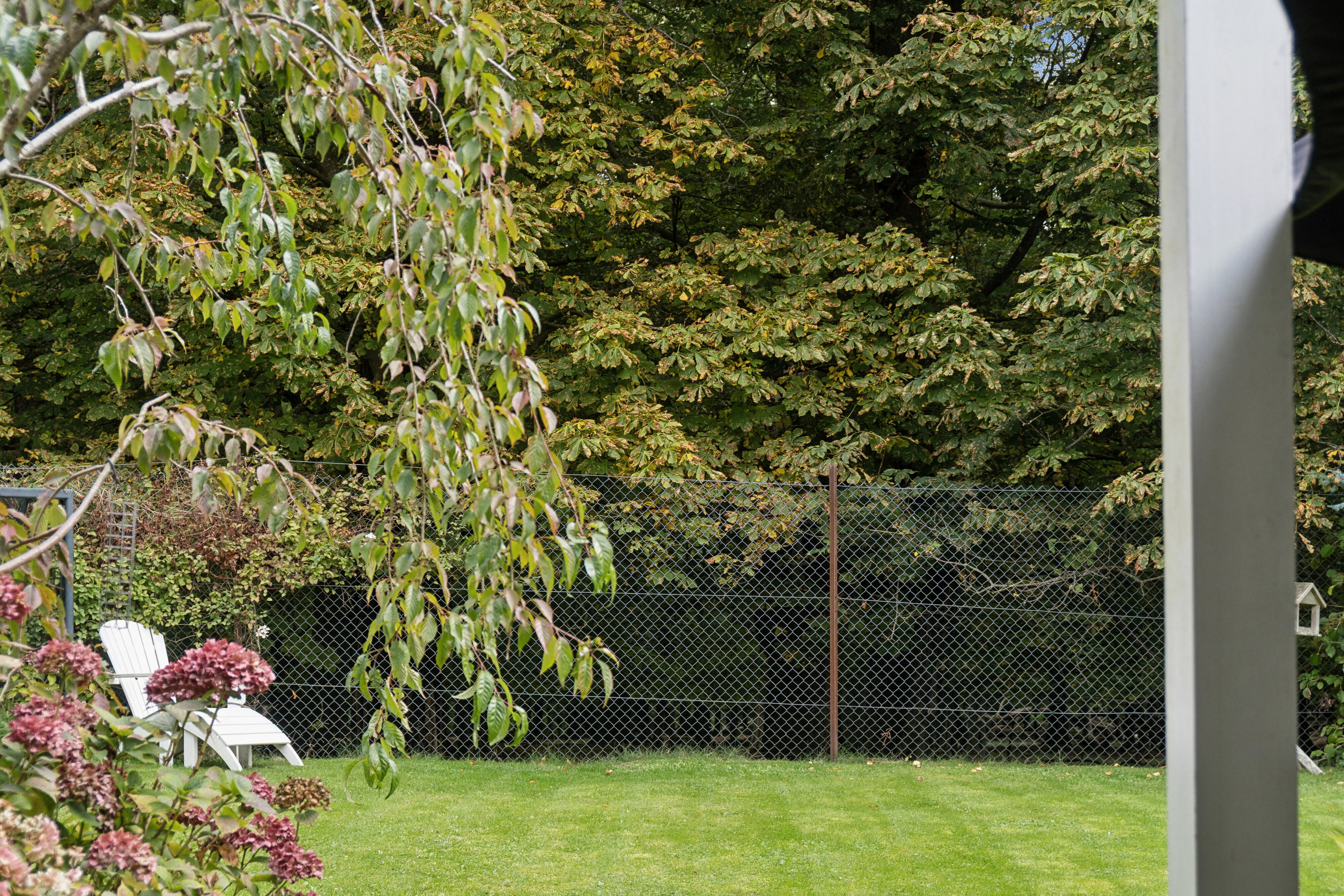 Dyrehavegårdsvej 46B, 2800 Kongens Lyngby