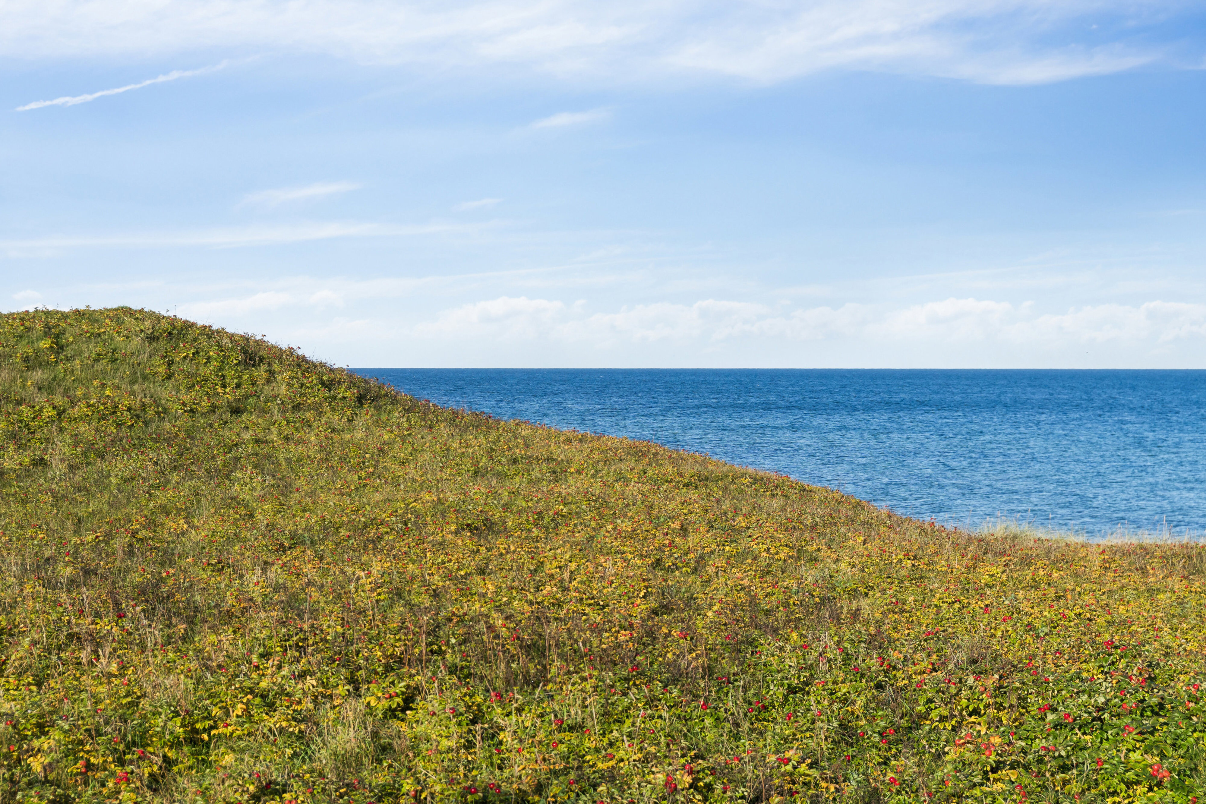 Revlingebakken 2, 3250 Gilleleje
