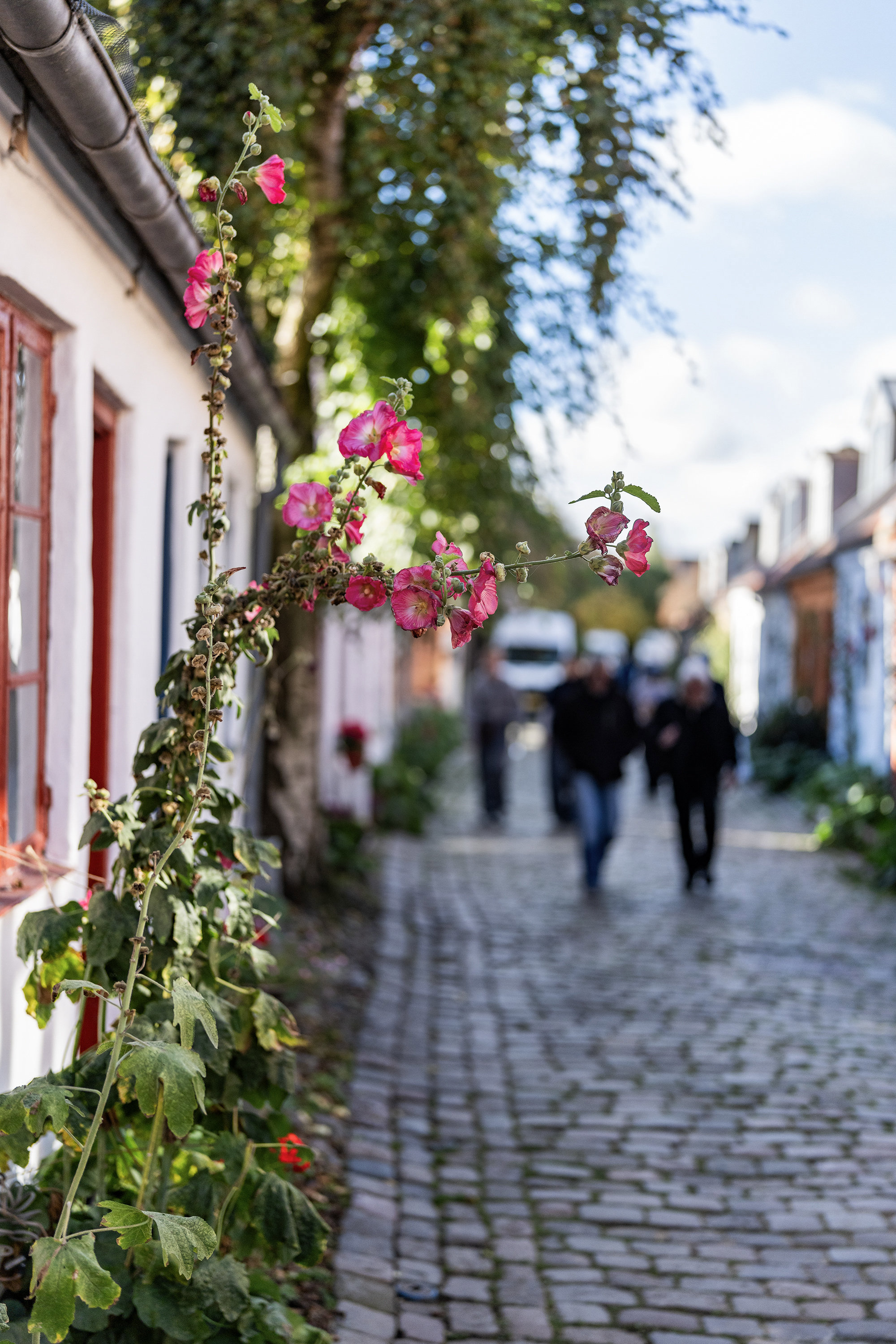 Møllestien 43, 8000 Aarhus C