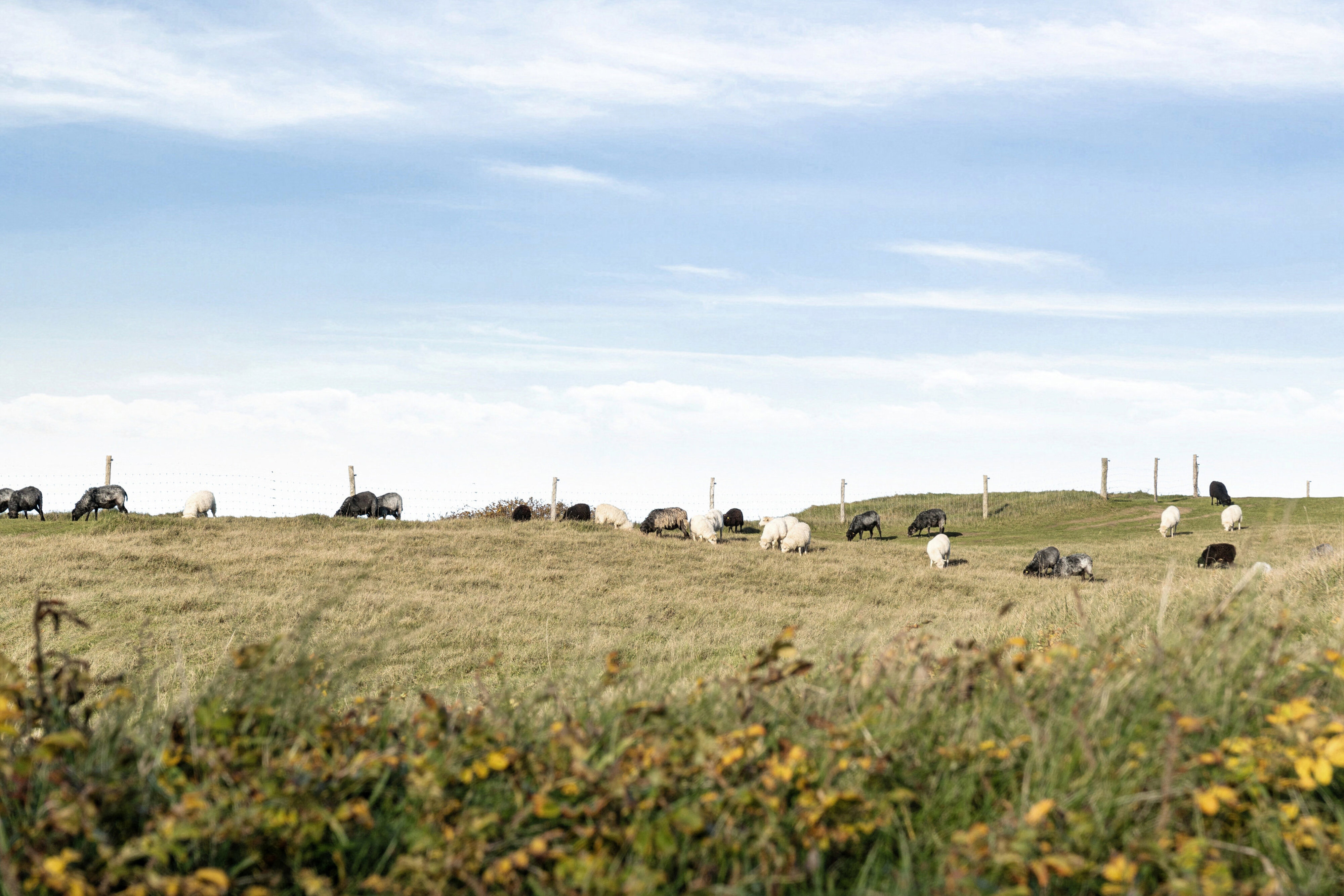Hanekammen 2, 3210 Vejby